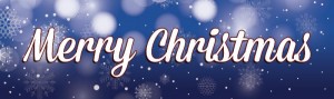 Christmas_Banner_preview56a8d270ed06[1]