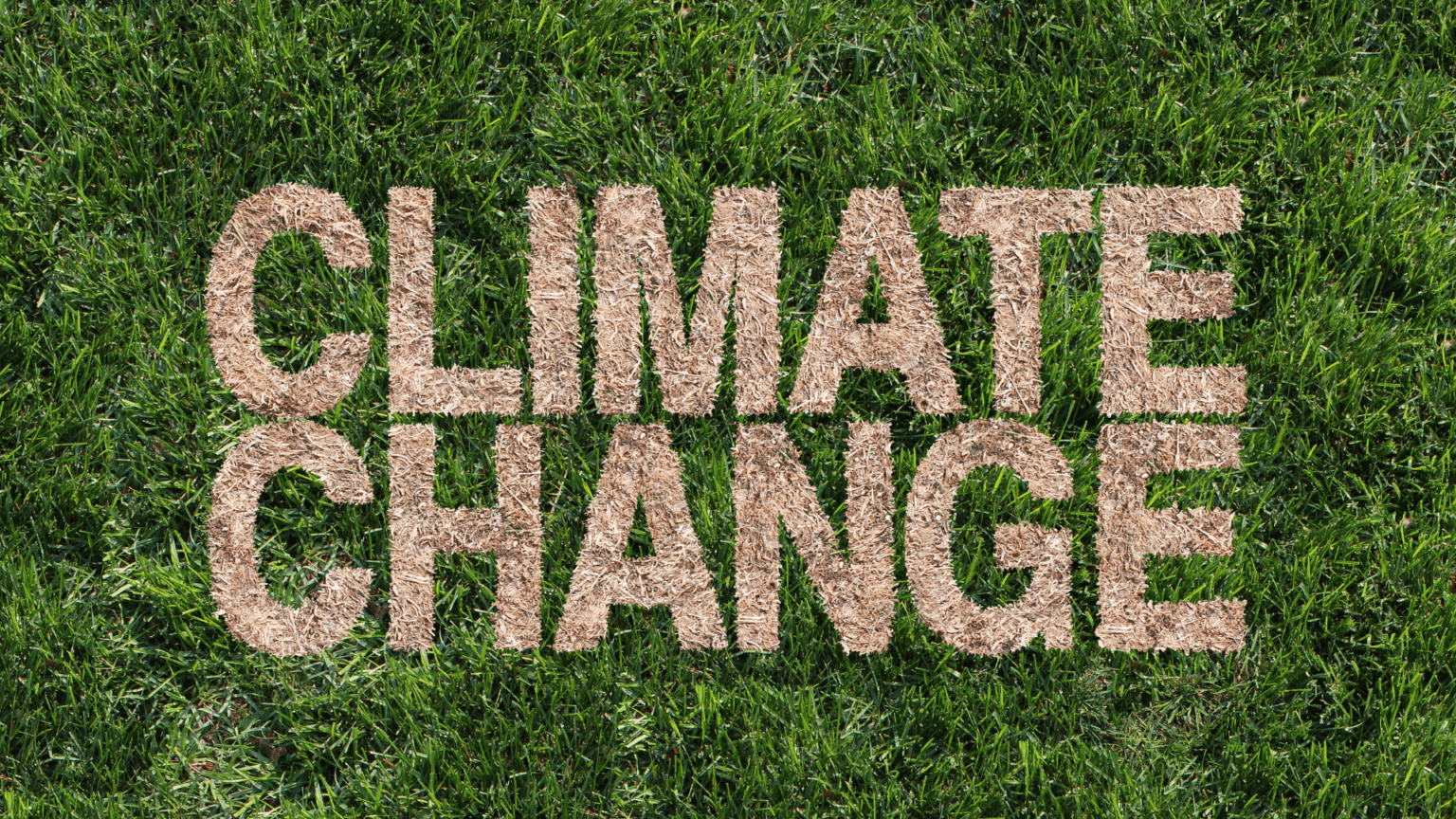 Clause 4 update: how to get started with new climate change ...