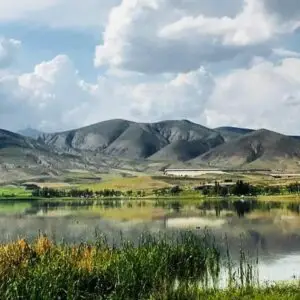 ISO 14001 - Context of the Organisation and Environmental Policy