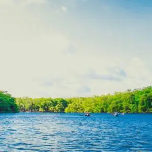 ISO 14001 - Internal Audit and Continual Improvement