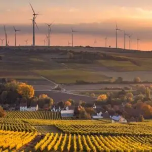 ISO 14001 - Leadership and Performance Measures