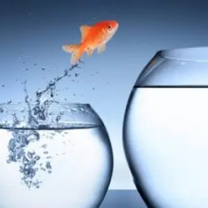 ISO 9001 Objectives and staff engagement