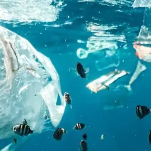 ISO 14001 - Environmental Aspects and Impacts and Emergency Preparedness